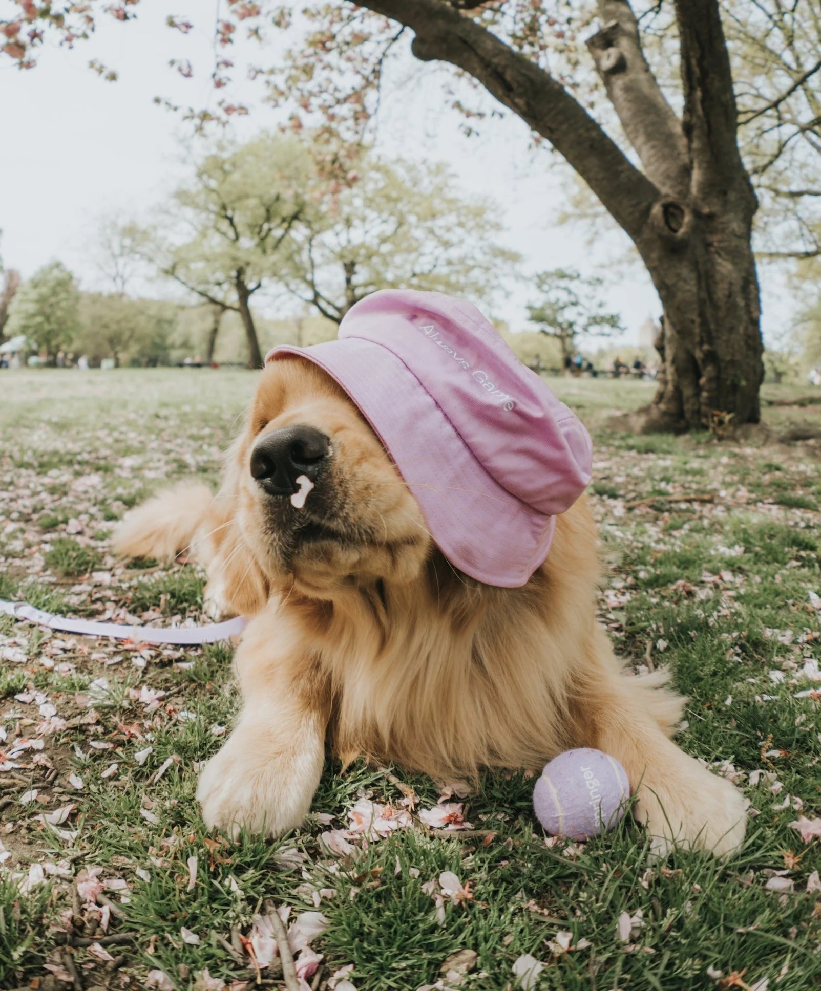 Always Game Bucket Hat - Image 3