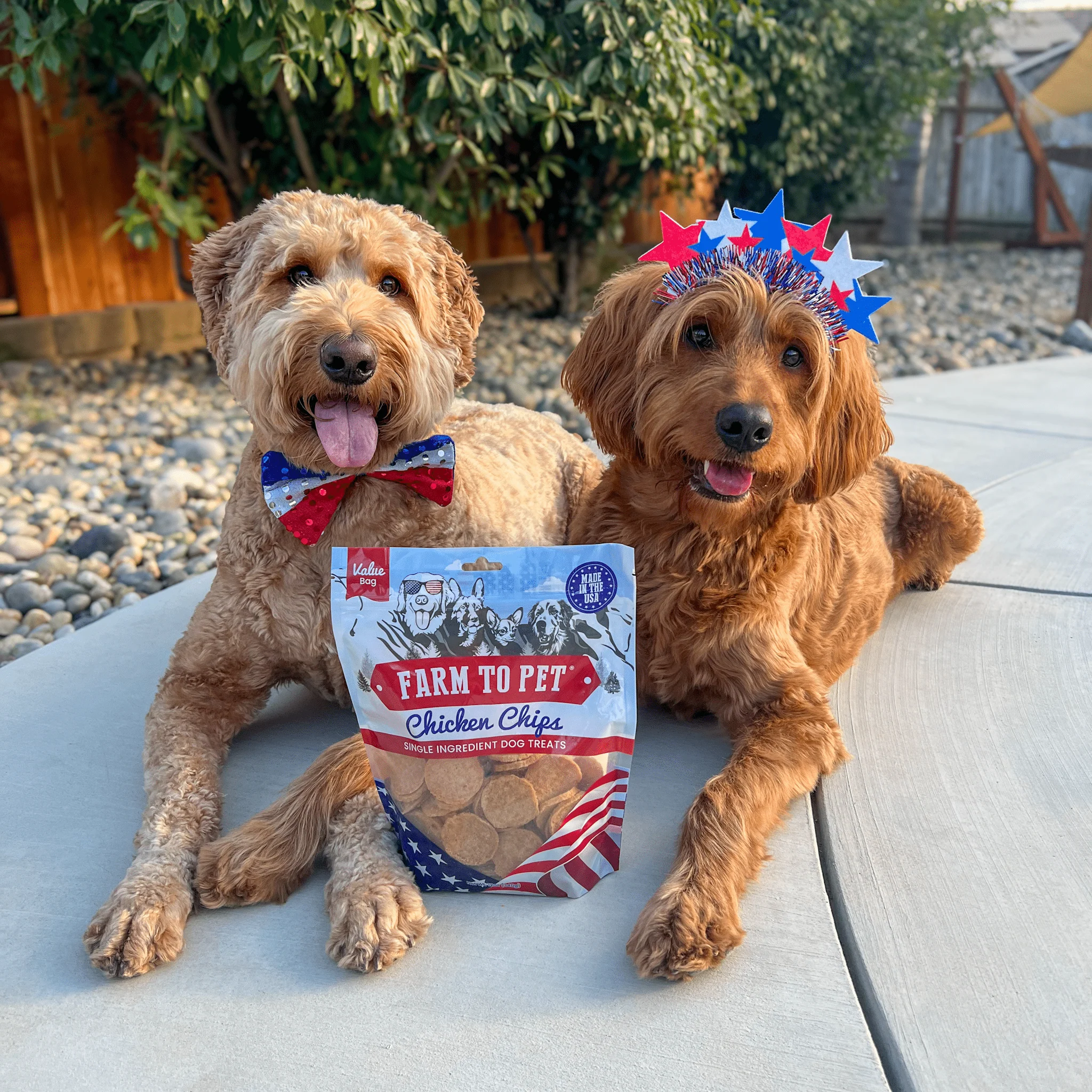 Americana Chicken Chips for Dogs | Celebrate with USA-made Dog Treats - Image 10