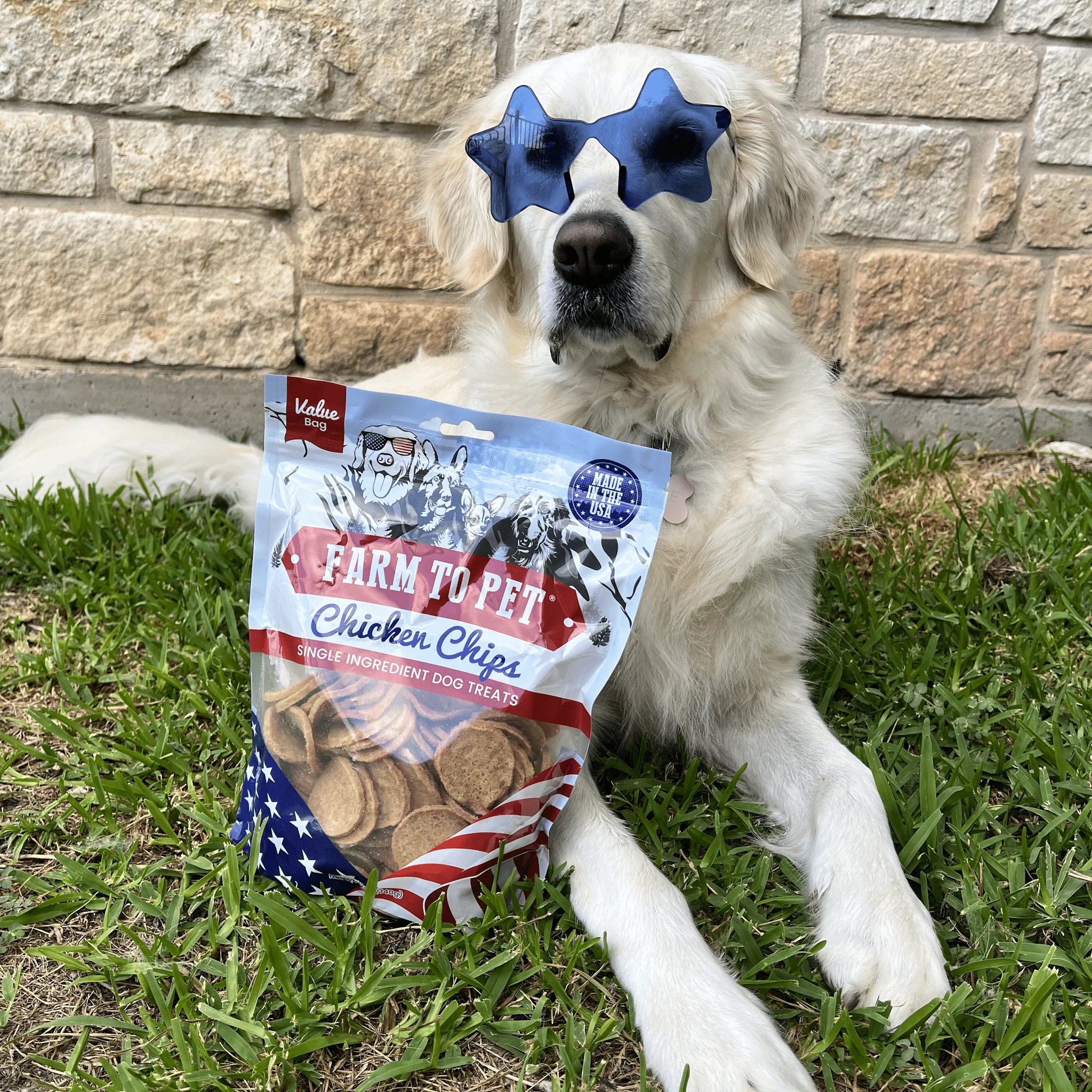 Americana Chicken Chips for Dogs | Celebrate with USA-made Dog Treats - Image 11