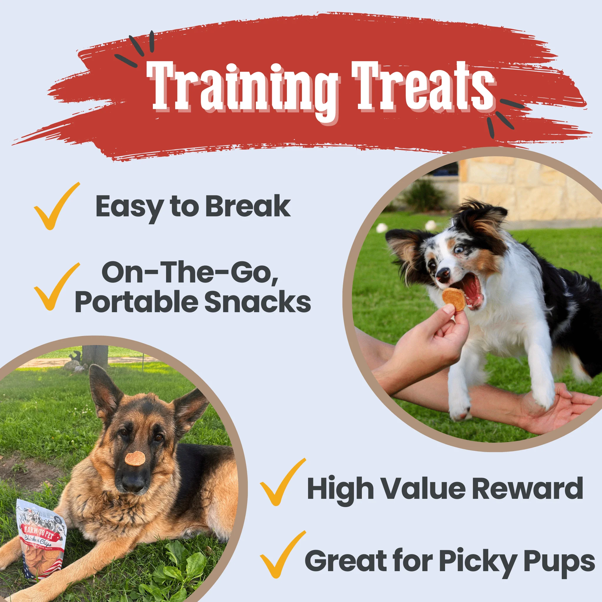 Americana Chicken Chips for Dogs | Celebrate with USA-made Dog Treats - Image 13