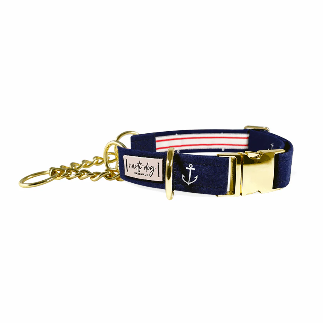 Anchors Away Nautical Buckle & Martingale Dog Collar - Image 2