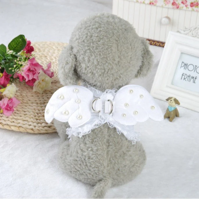 Angel Wings Lace Dog Harness with Pearl Details & Matching Leash - Image 4