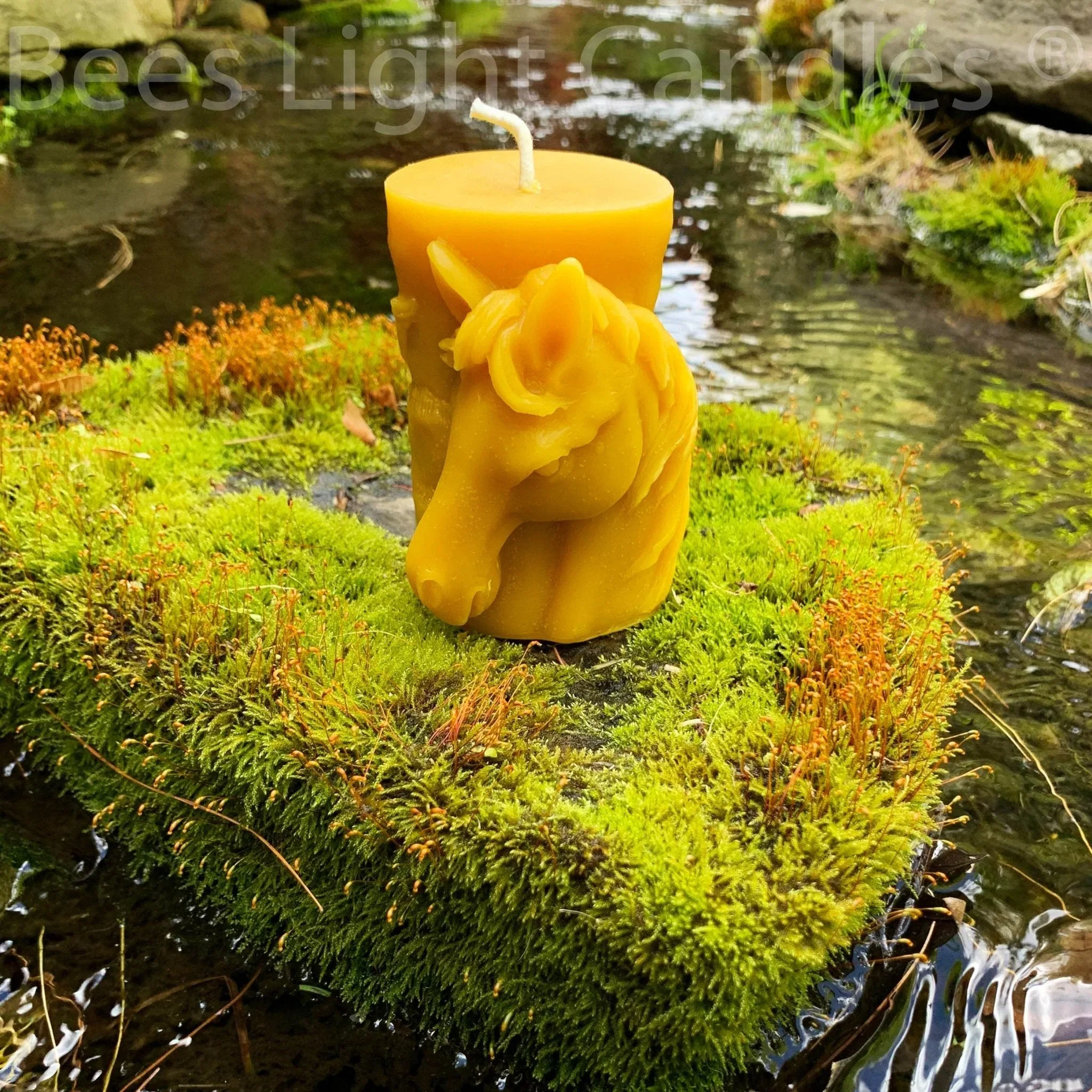 Animal Pillar Beeswax Candles - Image 4