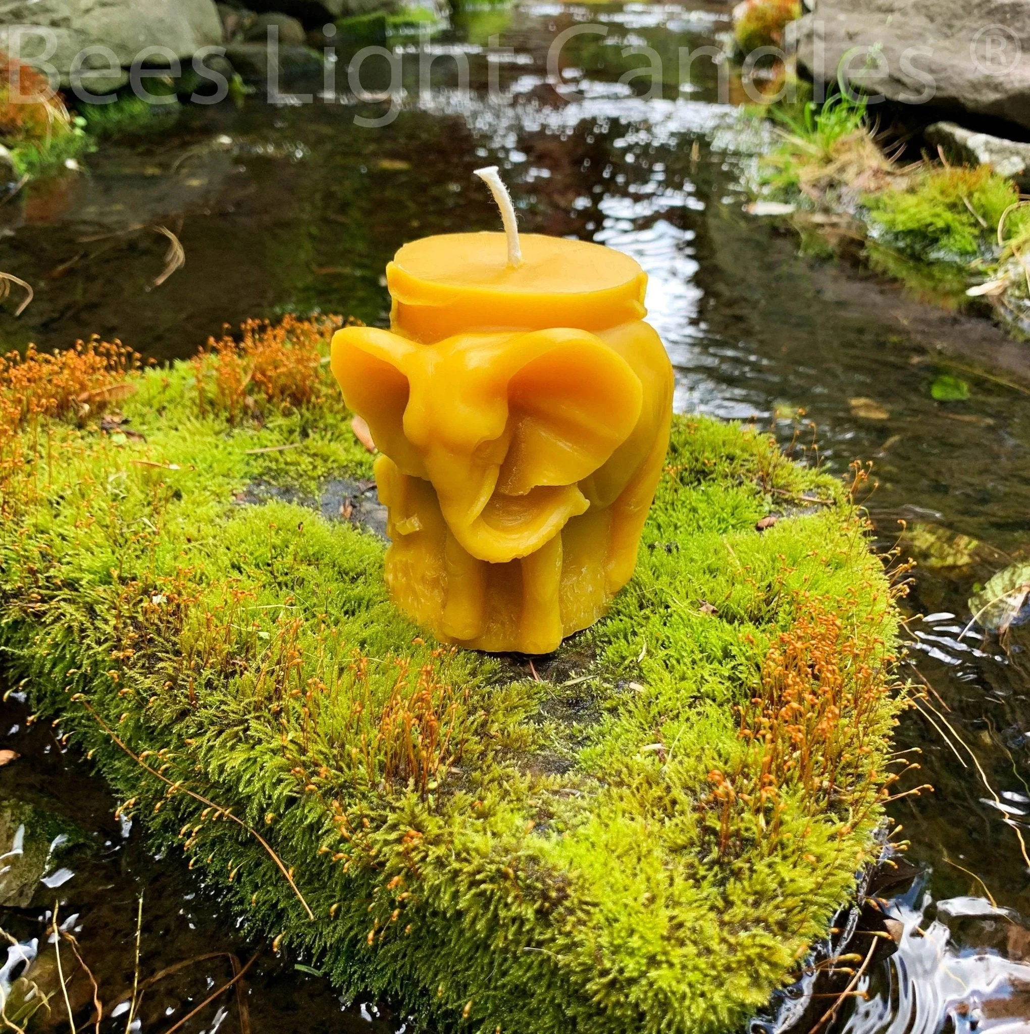 Animal Pillar Beeswax Candles - Image 7