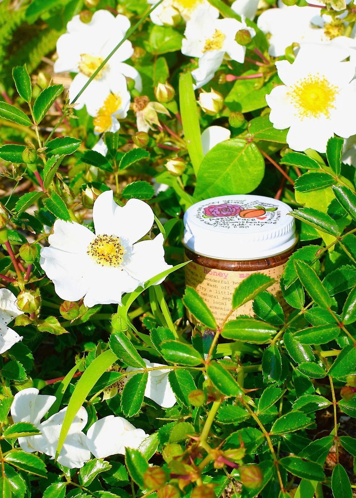 Apricot Rose Scrub Mask - Image 2
