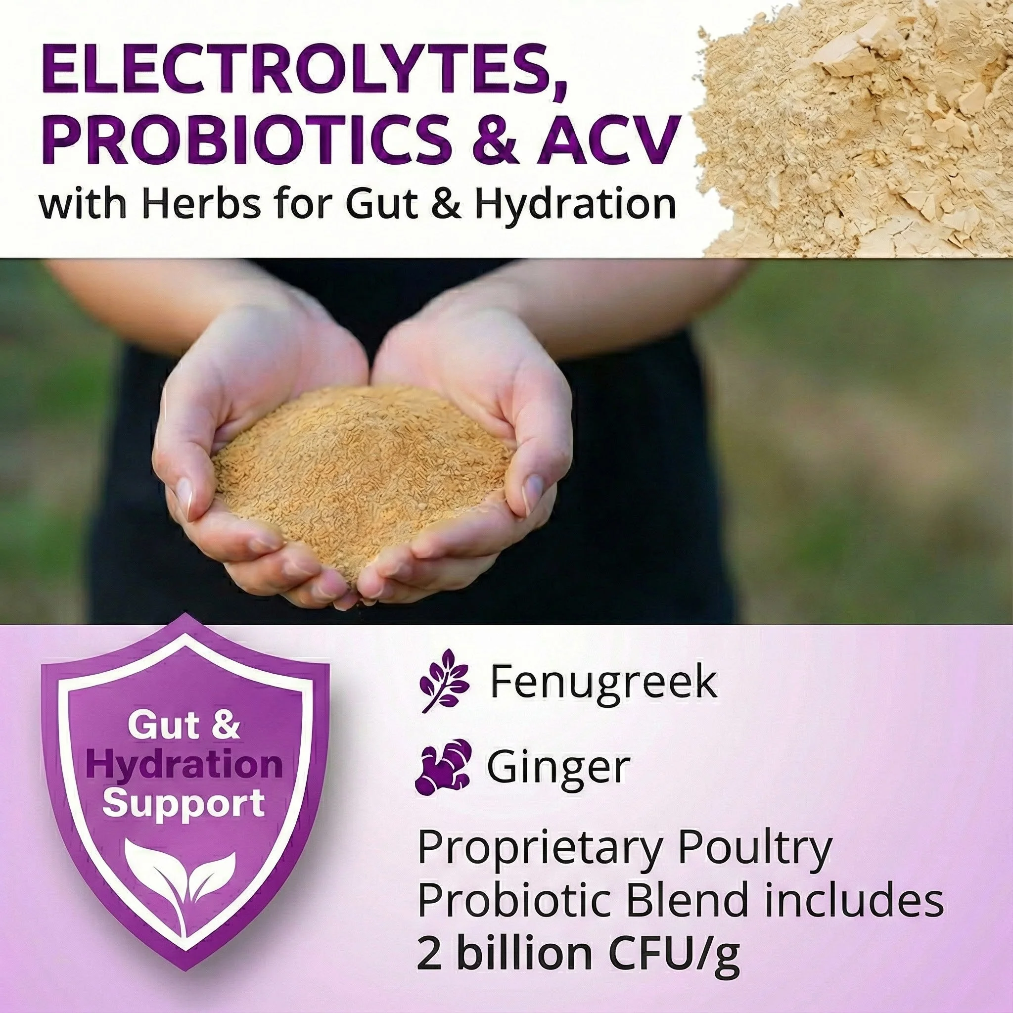AquaBoost – Electrolytes and Probiotics for Backyard Chickens - Image 3