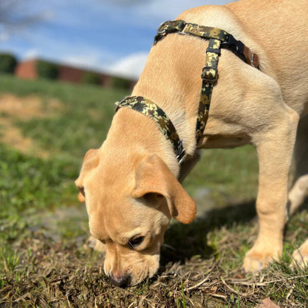 Archie Loves Mud Freedom No-Pull Dog Harness – EarthStyle - Image 8