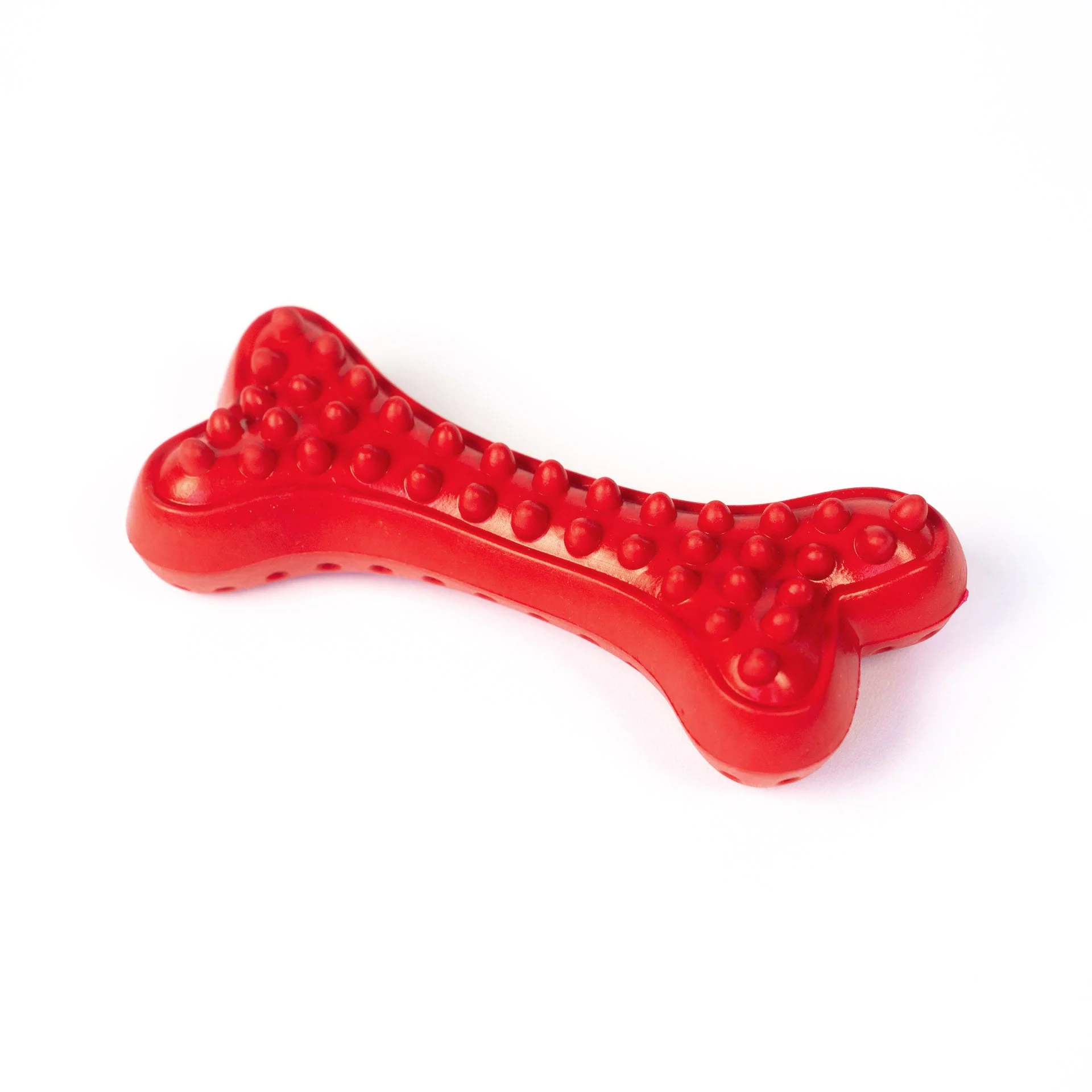 Arlo's Favorite Rubber Bone - Image 2