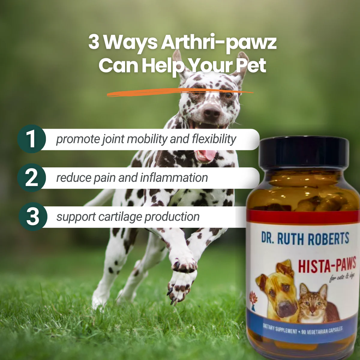 Arthri-Pawz – with Glucosamine for Cats and Dogs - Image 6