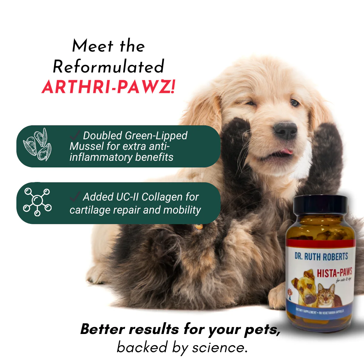 Arthri-Pawz – with Glucosamine for Cats and Dogs - Image 7