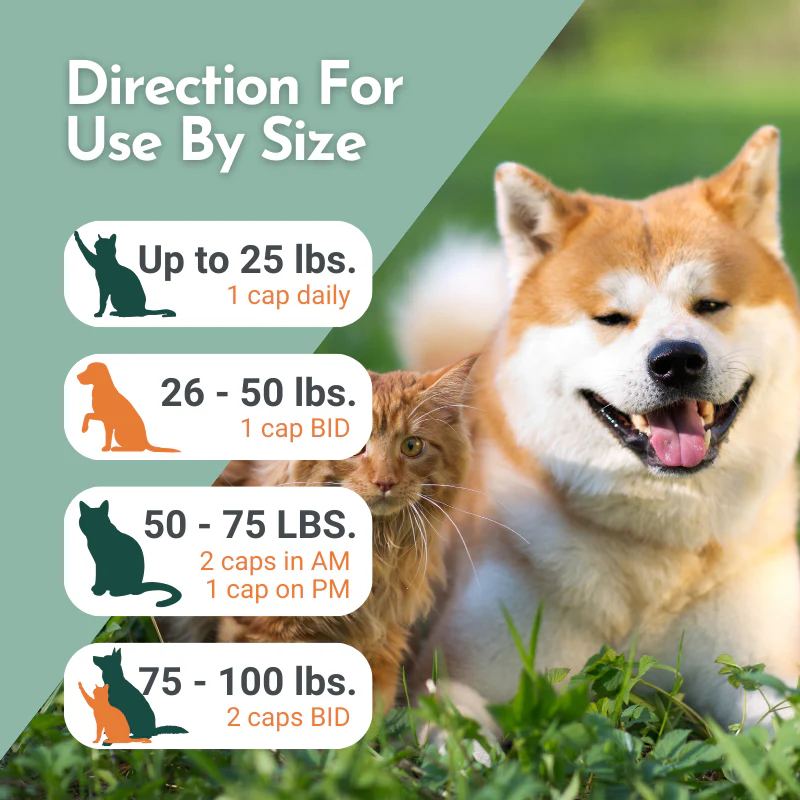 Arthri-Pawz – with Glucosamine for Cats and Dogs - Image 9
