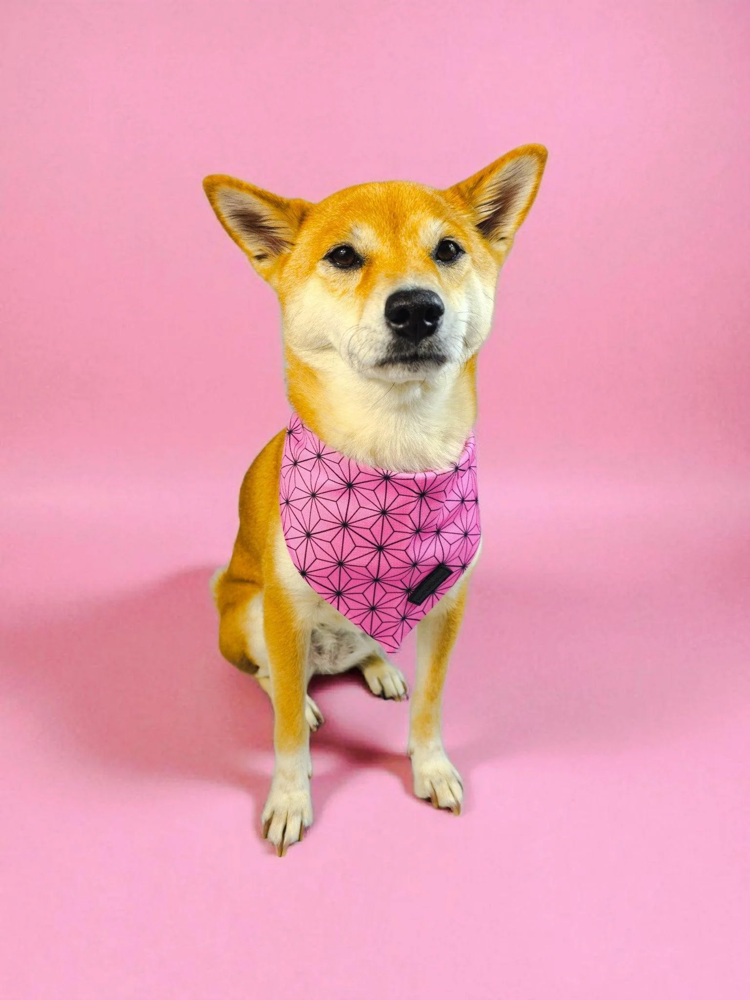 Asanoha Cooling Bandana - Image 4