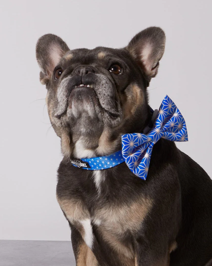 Asanoha Dog Collar & Bowtie - Image 2