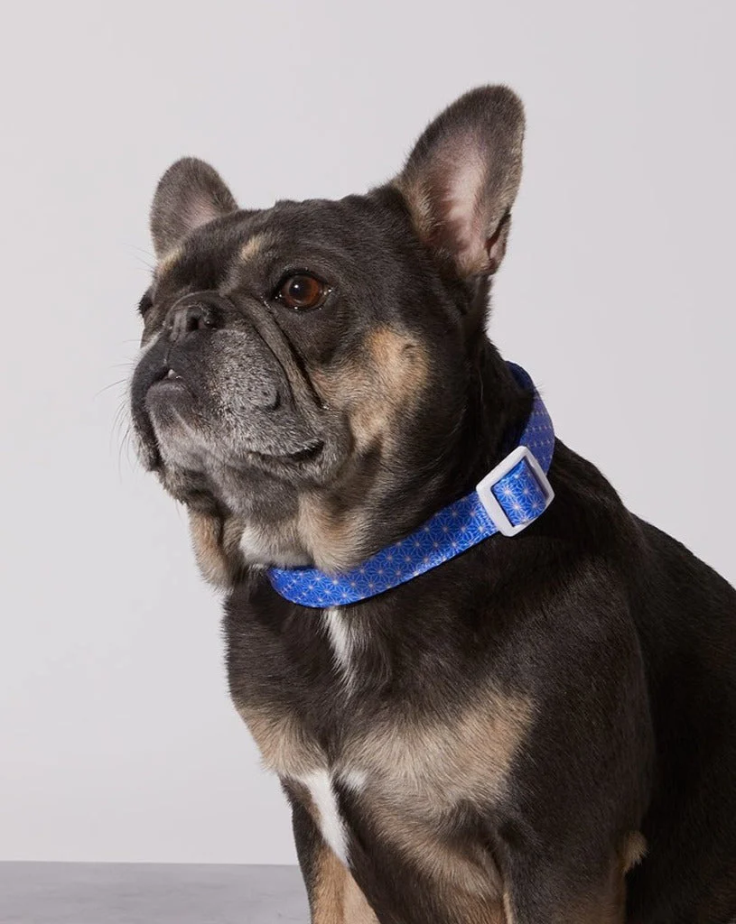 Asanoha Dog Collar & Bowtie - Image 3