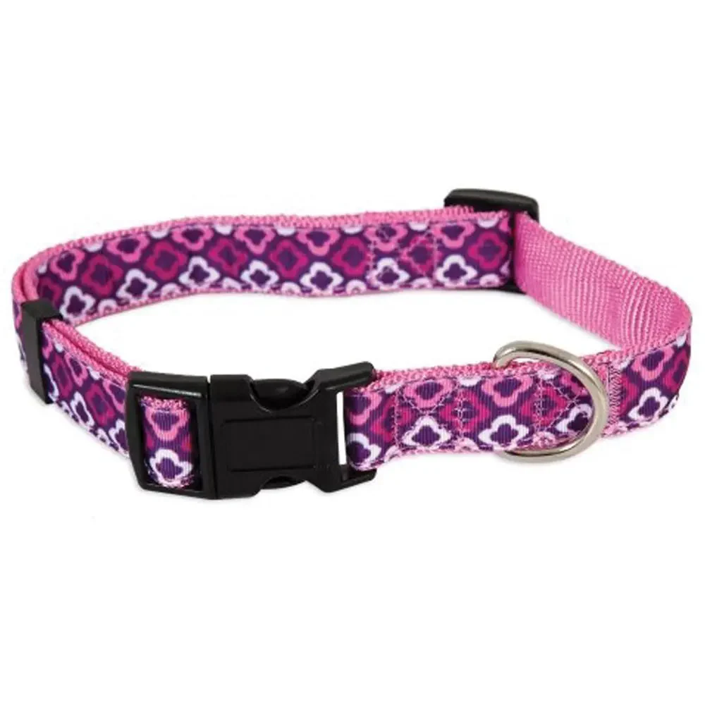 Aspen pet dog collar - Image 2