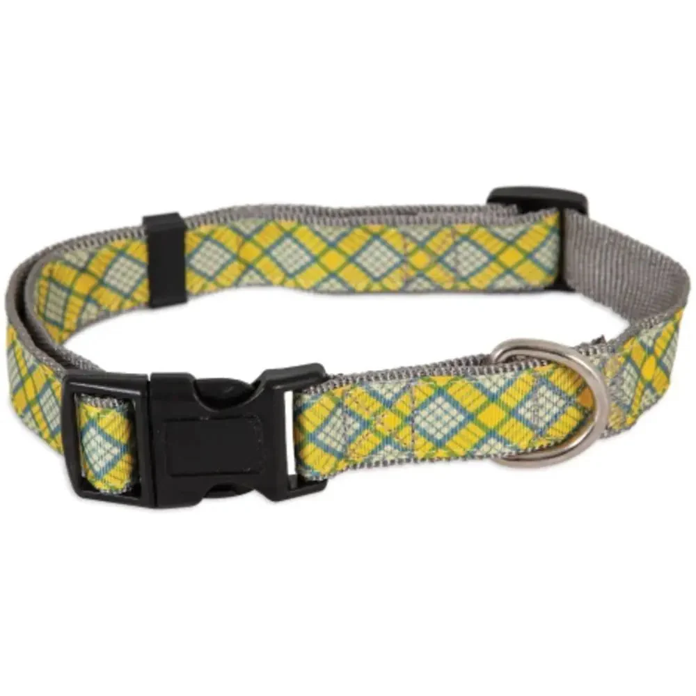 Aspen pet dog collar - Image 3