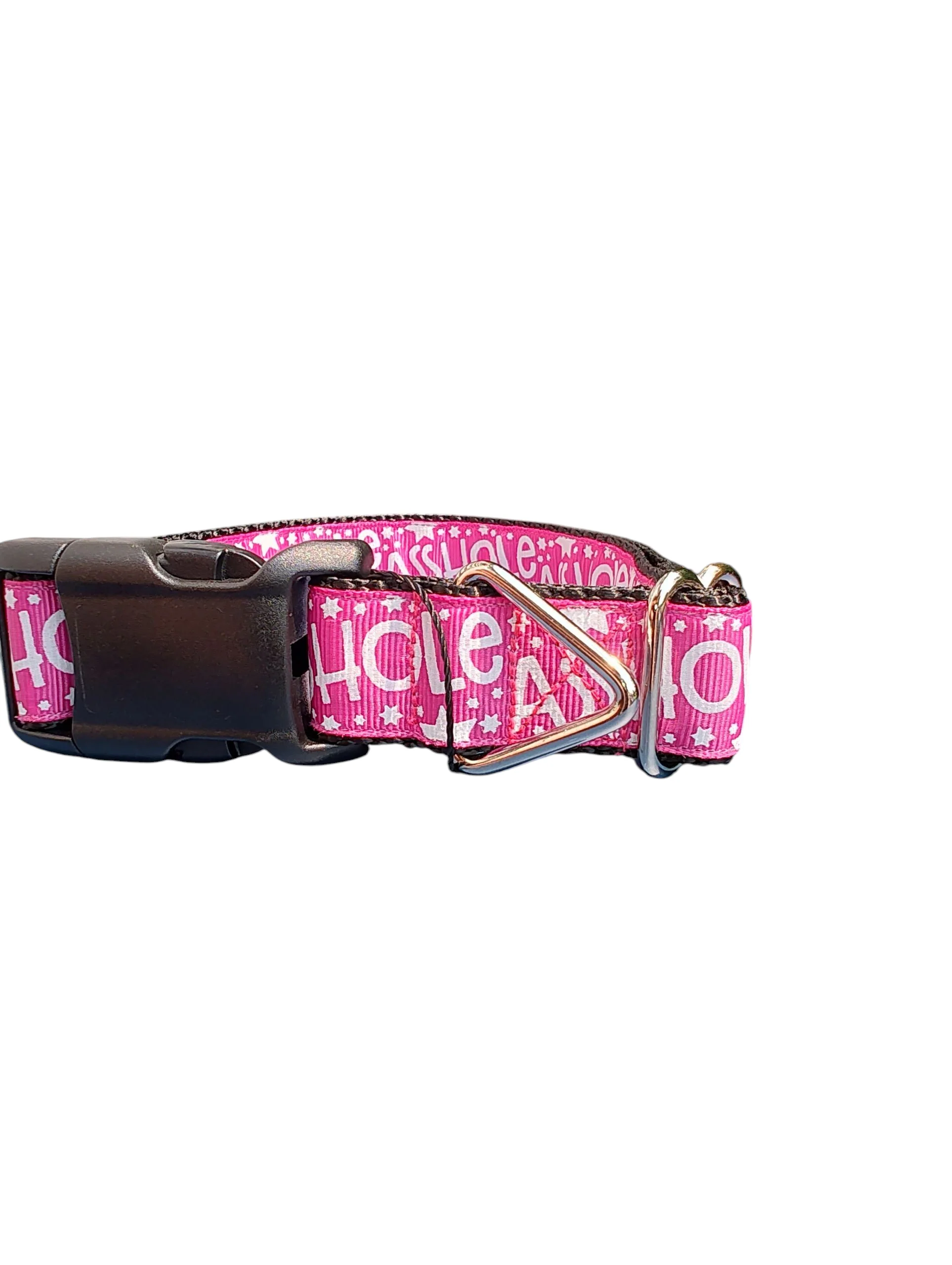 Asshole Raspberry Pink Nylon Dog Collar - Image 2