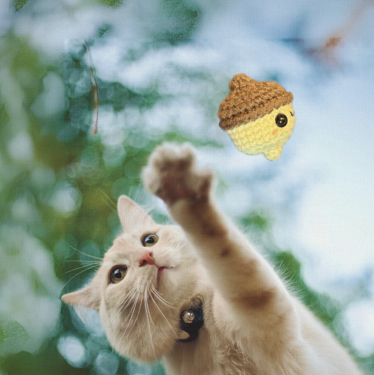 augie the acorn | weighted cat toy - Image 6