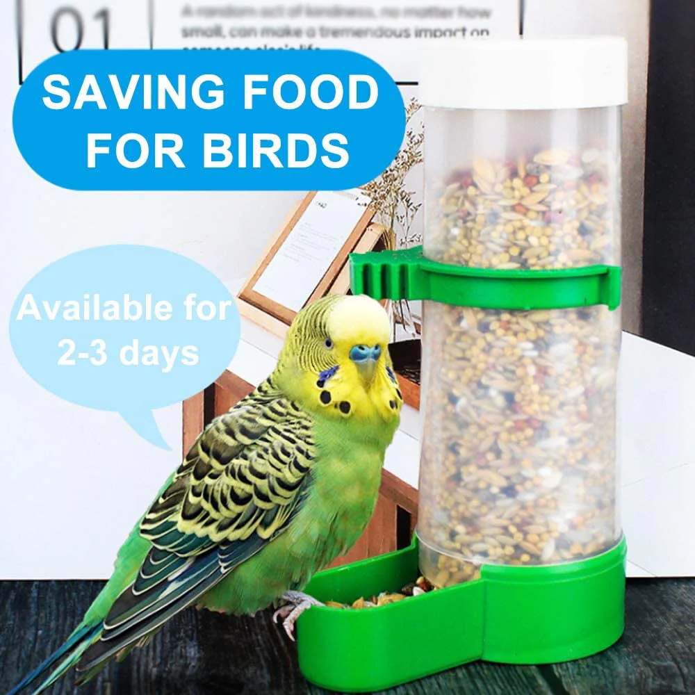 Automatic Bird Feeder & Water Dispenser - Image 3