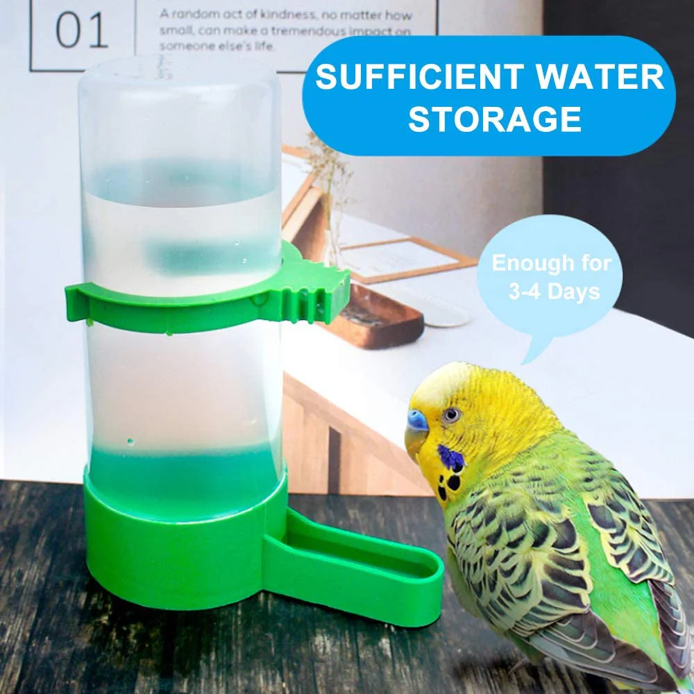 Automatic Bird Feeder & Water Dispenser - Image 4