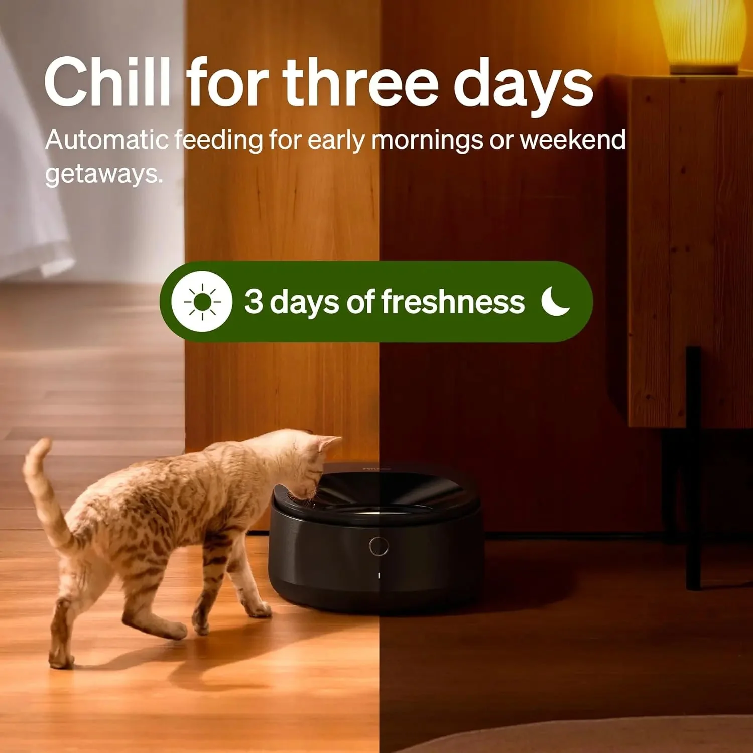 Automatic Cat Feeder for Wet Food – 3-Day Cooling Smart Feeder w/ App Control - Image 3