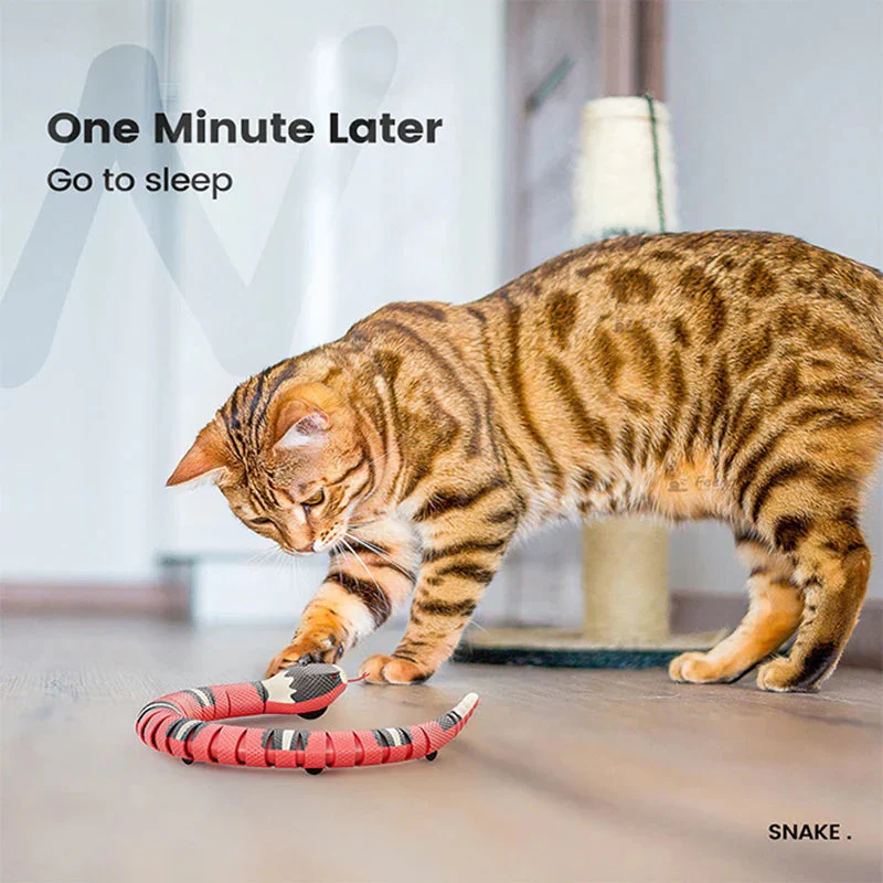 Automatic Smart Sensing Snake Cat Toy – Interactive USB Rechargeable Moving Pet Toy with Lights & Motion Detection for Cats - Image 6