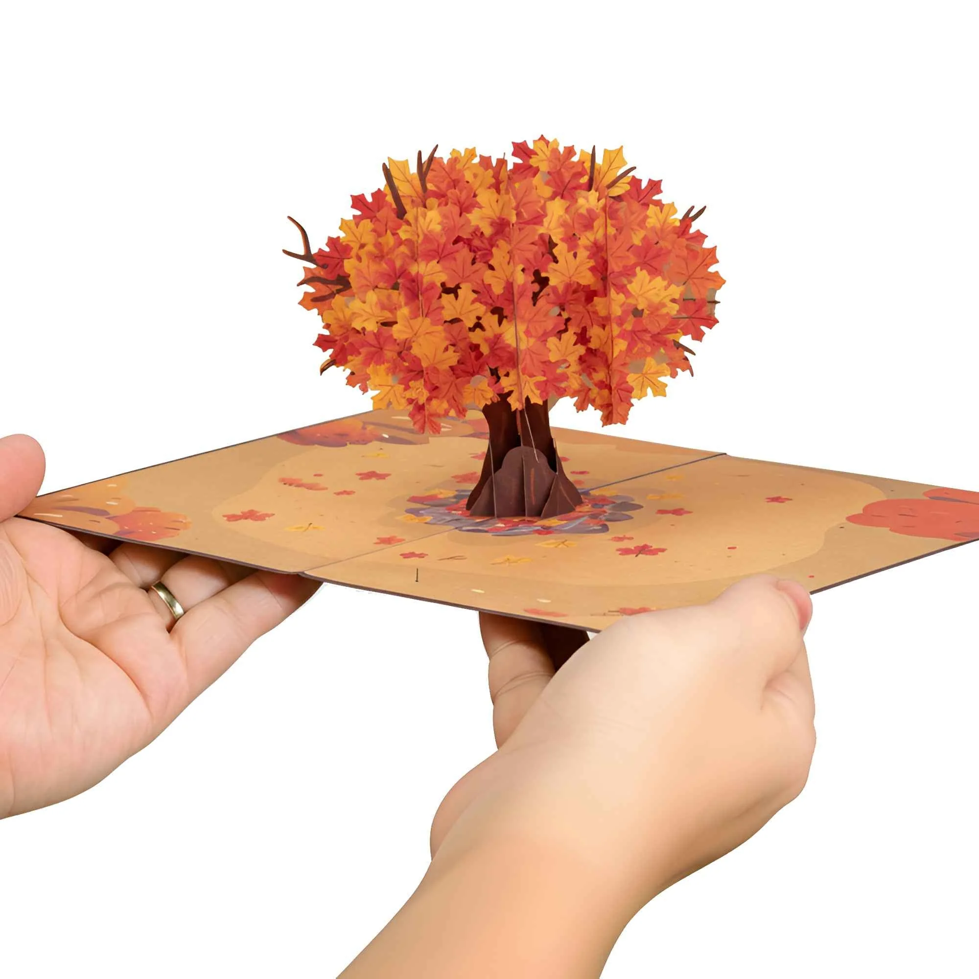 Autumn Tree Pop Up Card - Image 2