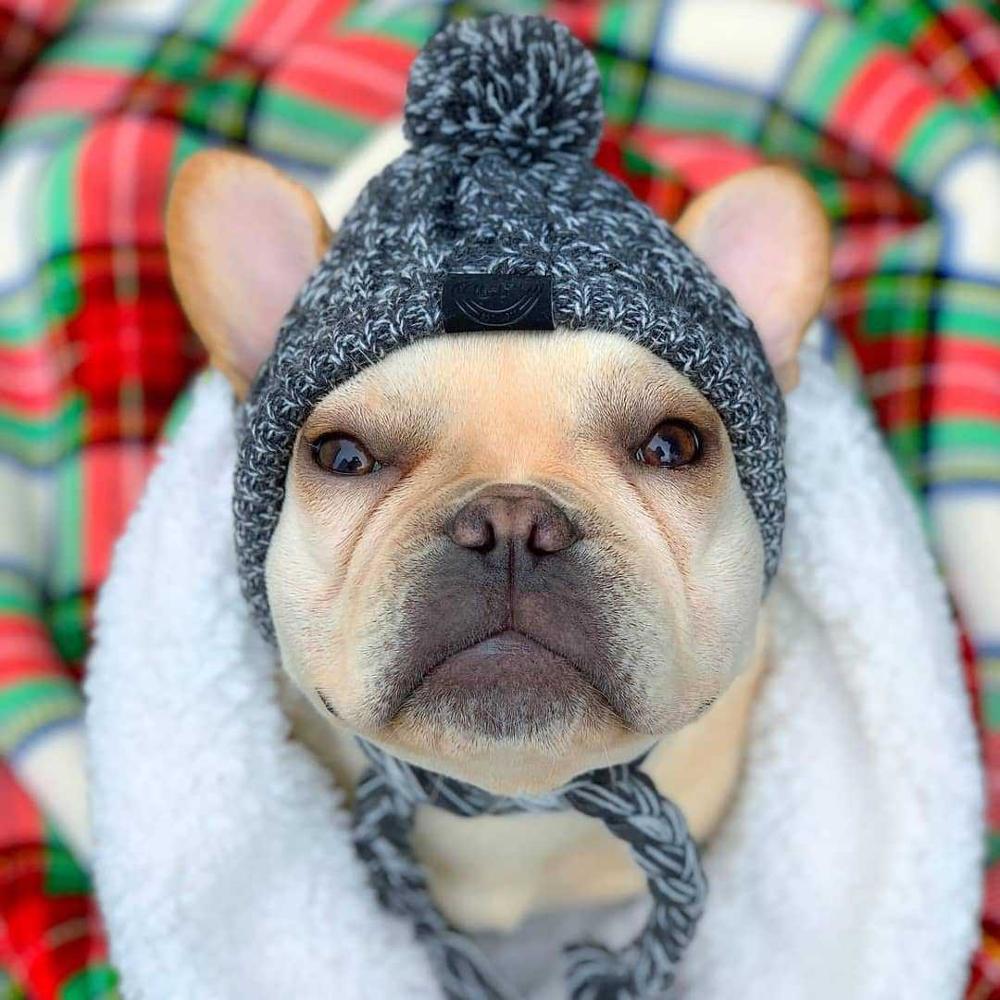 Autumn Winter Warm Knitted Pet Hats With Fluffy Ball - Image 13