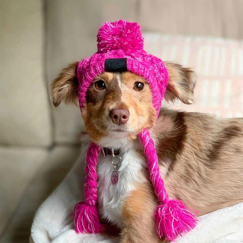 Autumn Winter Warm Knitted Pet Hats With Fluffy Ball - Image 21