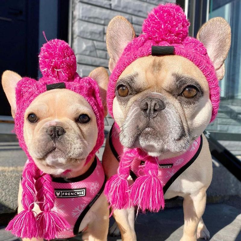 Autumn Winter Warm Knitted Pet Hats With Fluffy Ball - Image 4