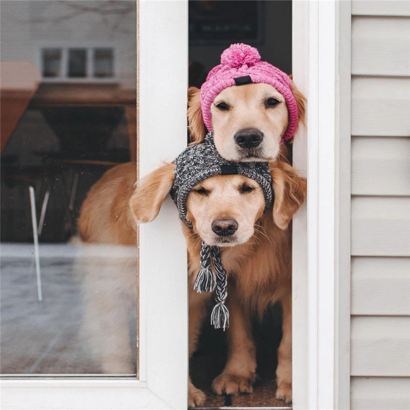Autumn Winter Warm Knitted Pet Hats With Fluffy Ball - Image 7