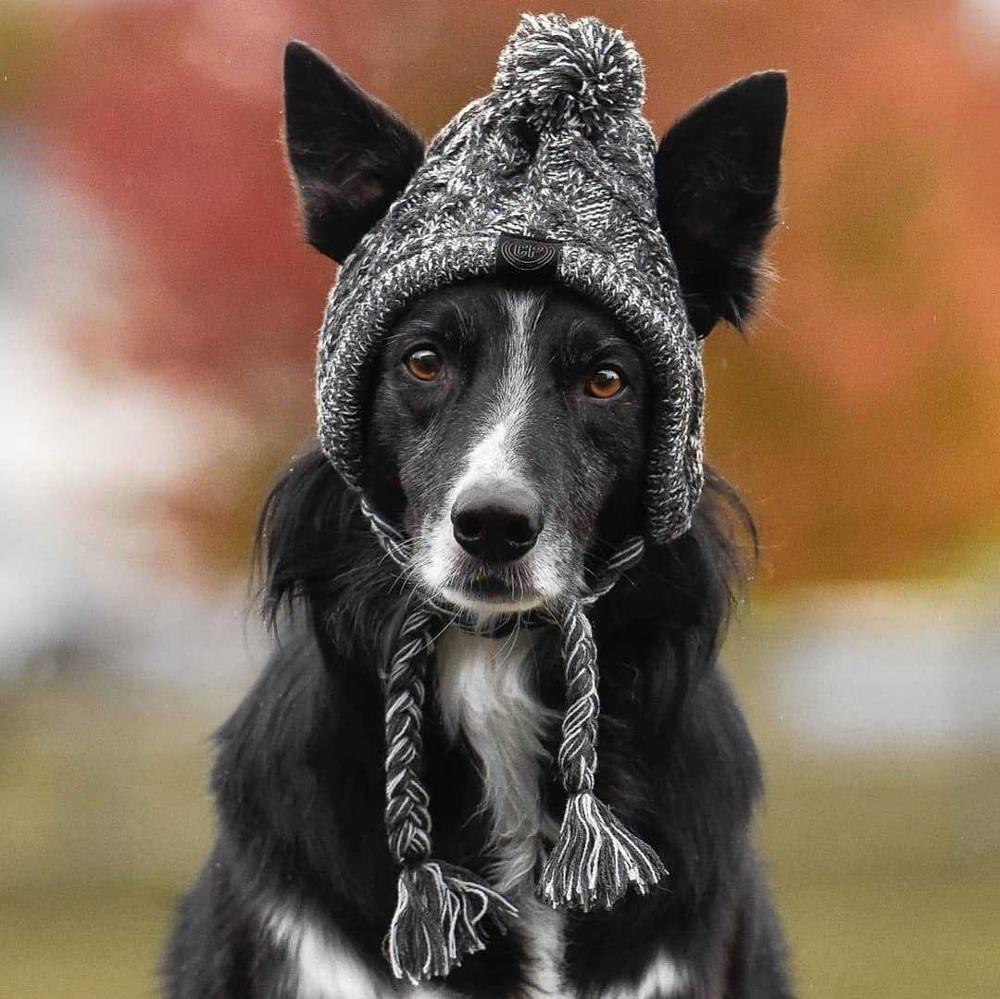 Autumn Winter Warm Knitted Pet Hats With Fluffy Ball - Image 8
