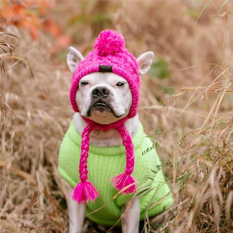 Autumn Winter Warm Knitted Pet Hats With Fluffy Ball - Image 9