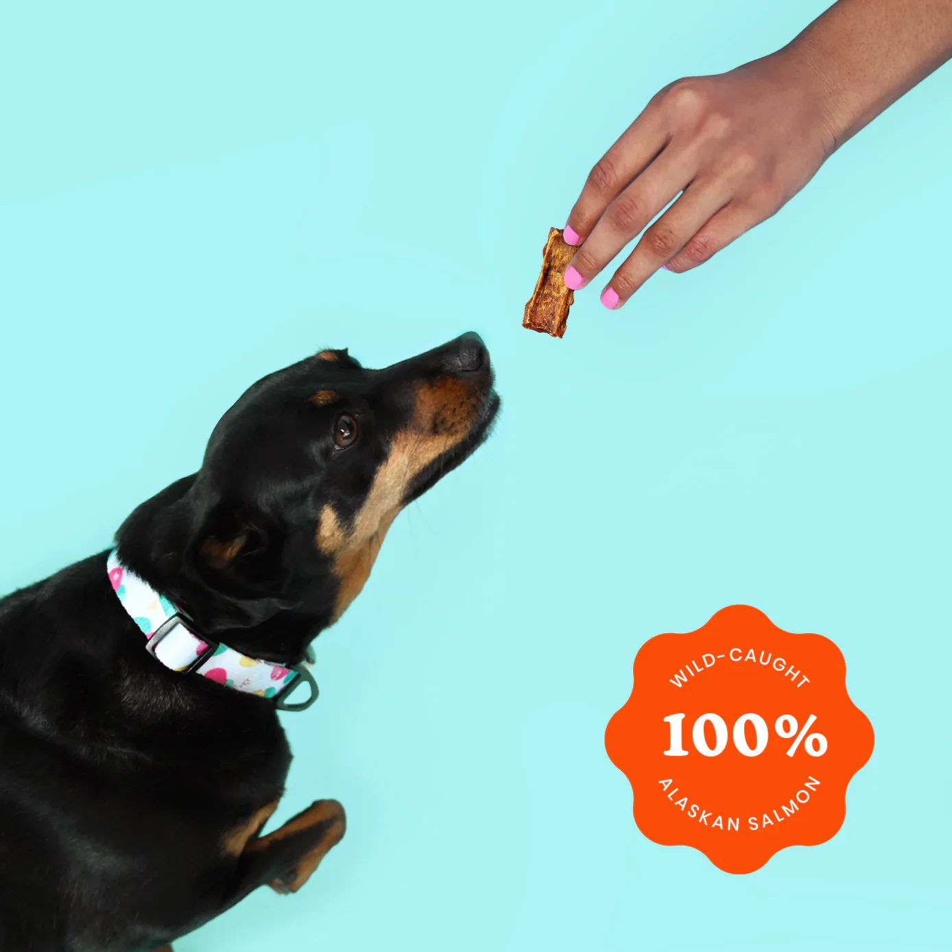 Ava's Pet Palace Crunchy Jerky Dog Treats - Snappin' Salmon Treats (4 oz) - Image 5