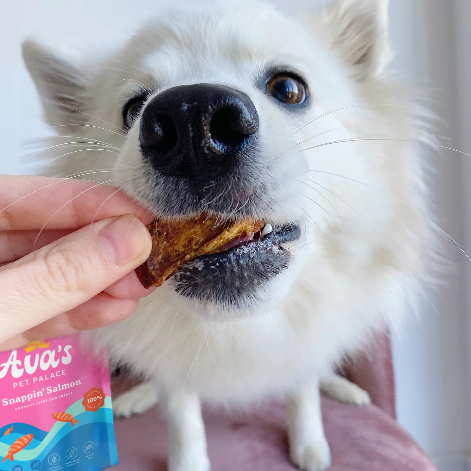 Ava's Pet Palace Crunchy Jerky Dog Treats - Snappin' Salmon Treats (4 oz) - Image 6