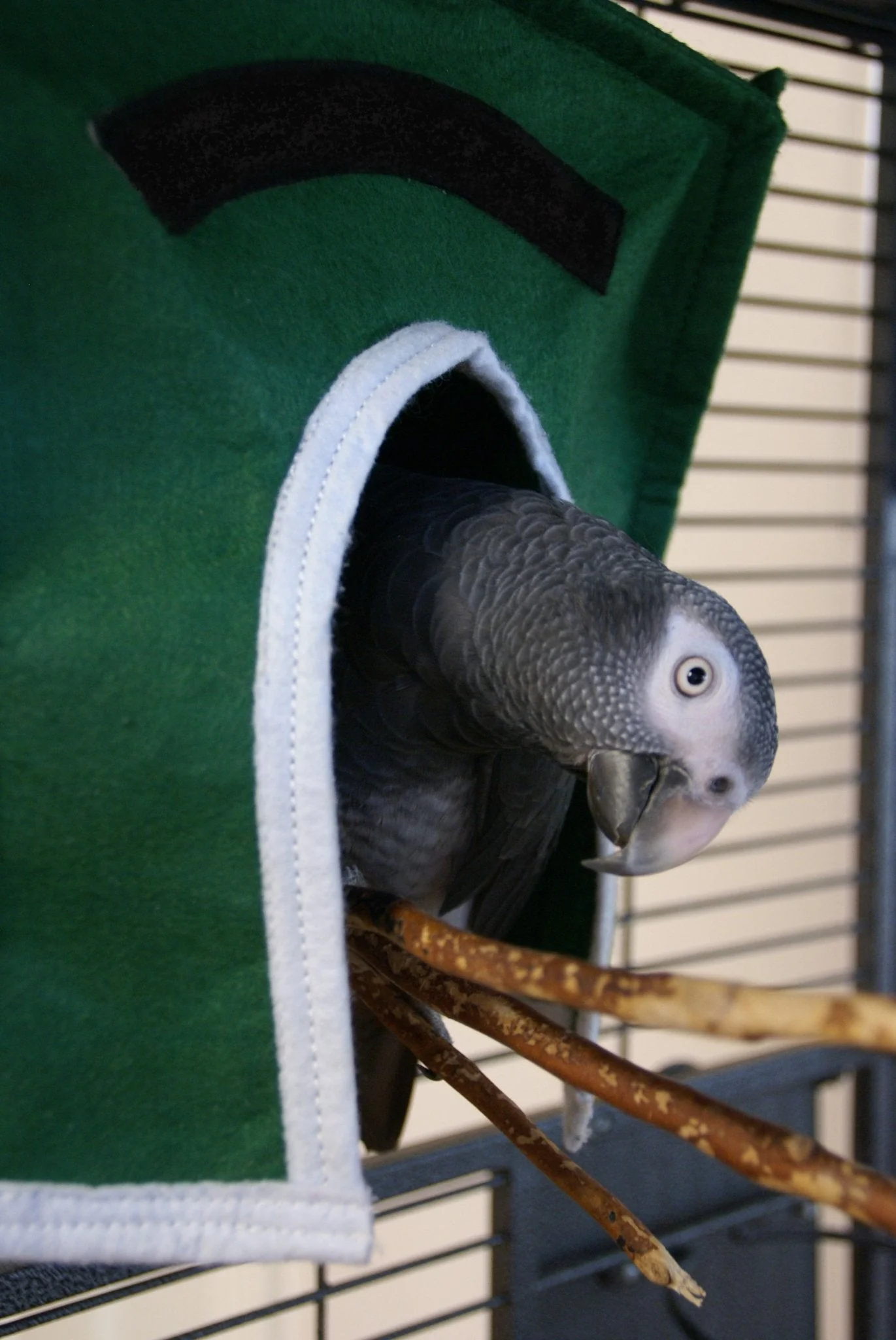 Avian Haven Hut for Pet Birds - Image 10