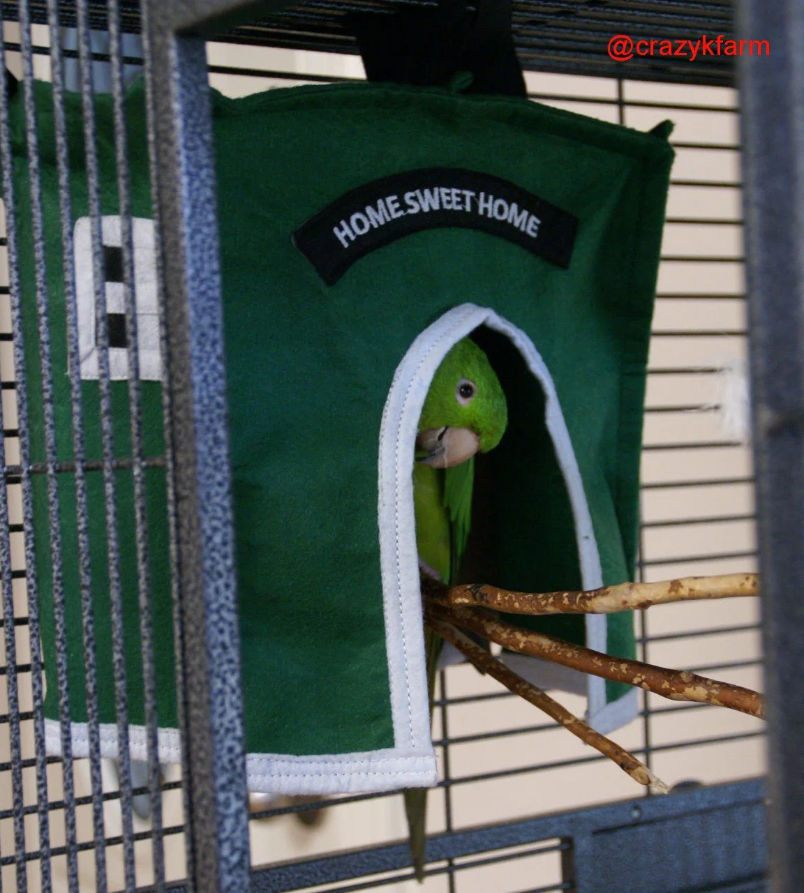 Avian Haven Hut for Pet Birds - Image 2