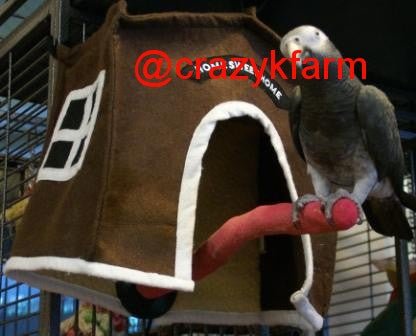 Avian Haven Hut for Pet Birds - Image 3