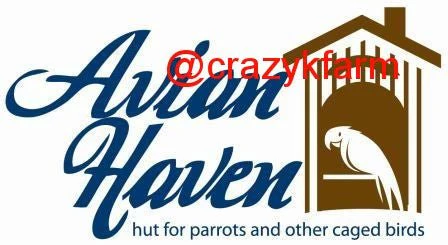 Avian Haven Hut for Pet Birds - Image 4