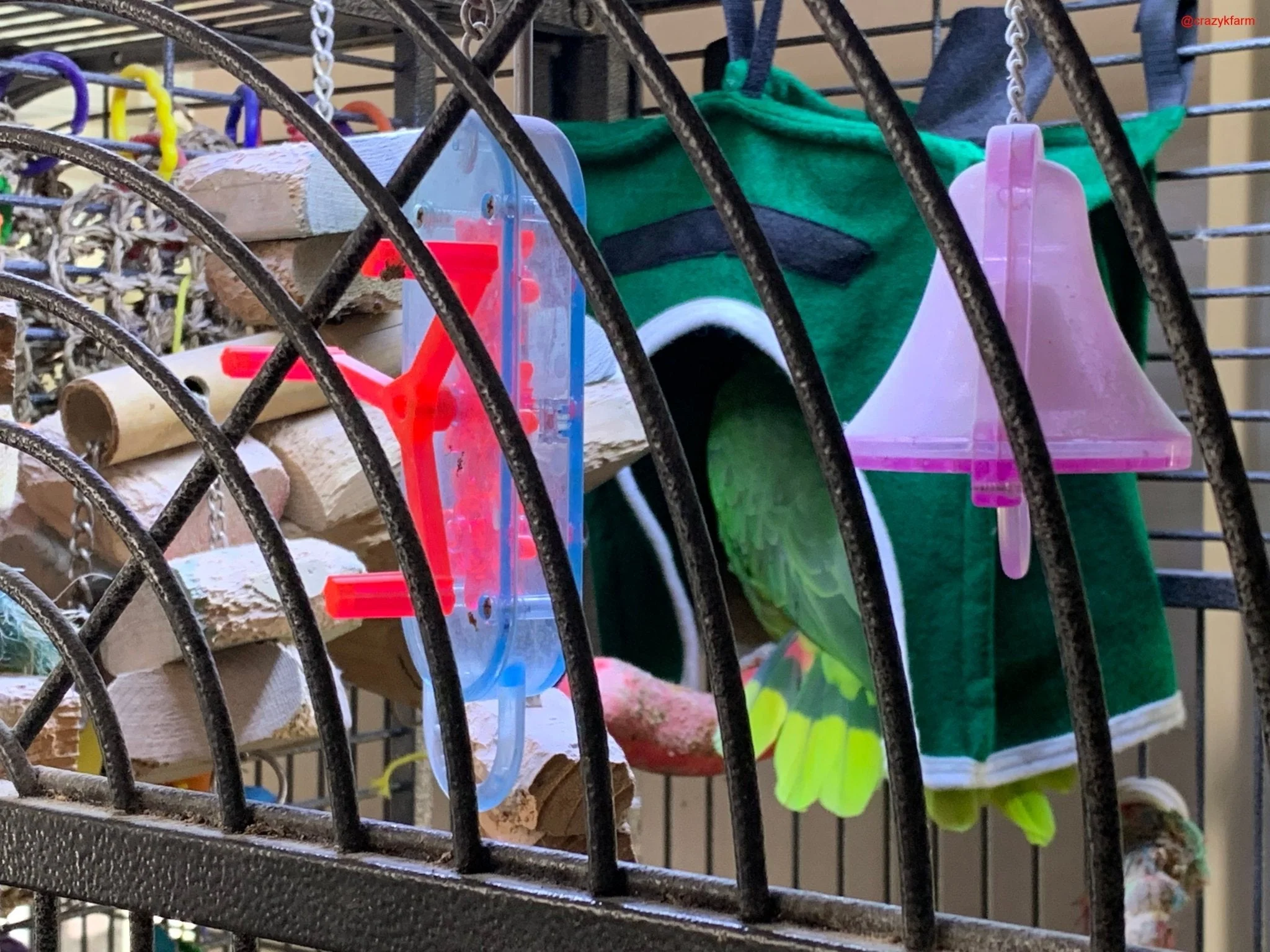 Avian Haven Hut for Pet Birds - Image 7
