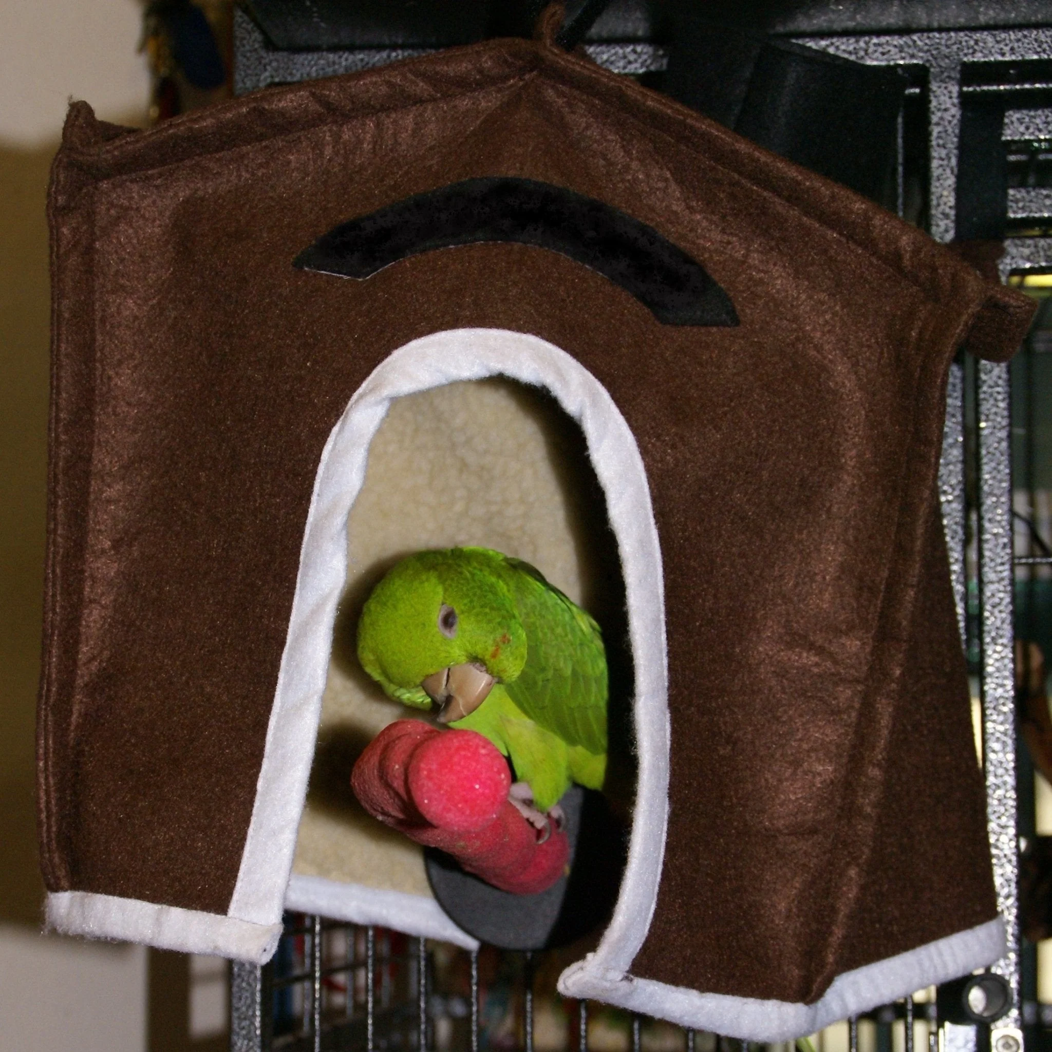 Avian Haven Hut for Pet Birds - Image 9