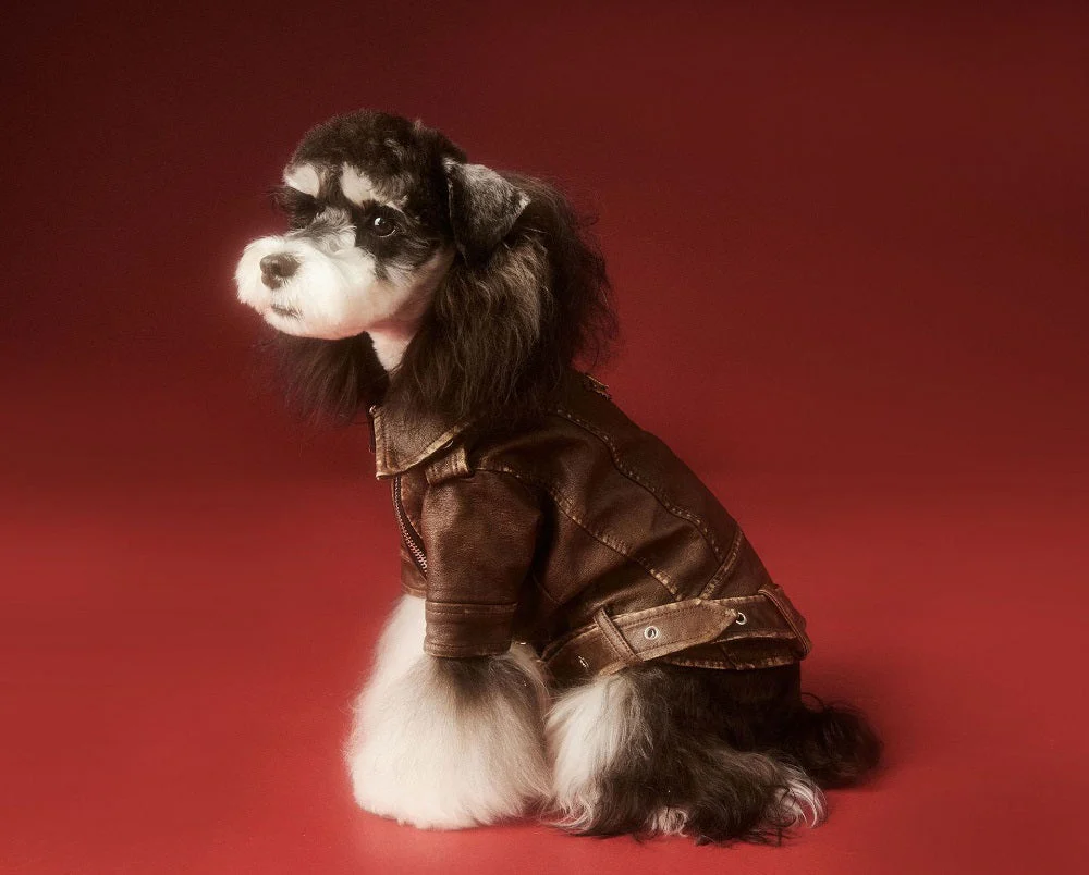 Aviator Pup Dog Leather Jacket - Image 4