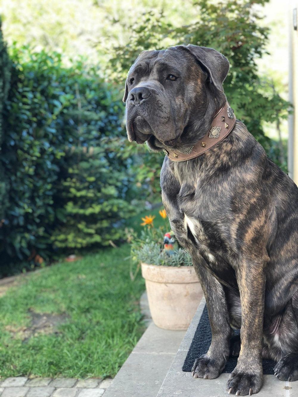 "Aztec" grey dog collar - Image 2