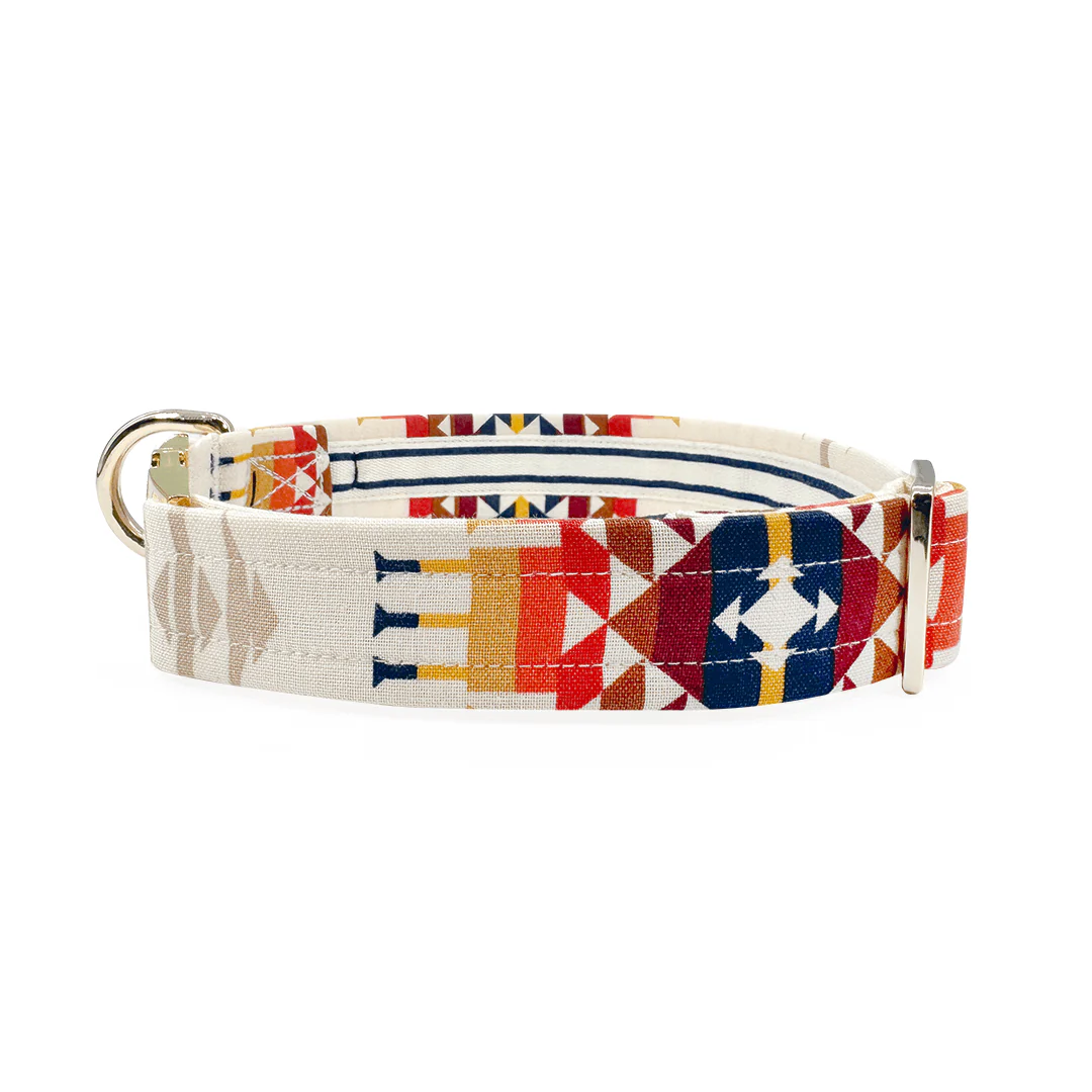 Aztec Southwestern Woven Stripe Buckle & Martingale Collar - Image 2