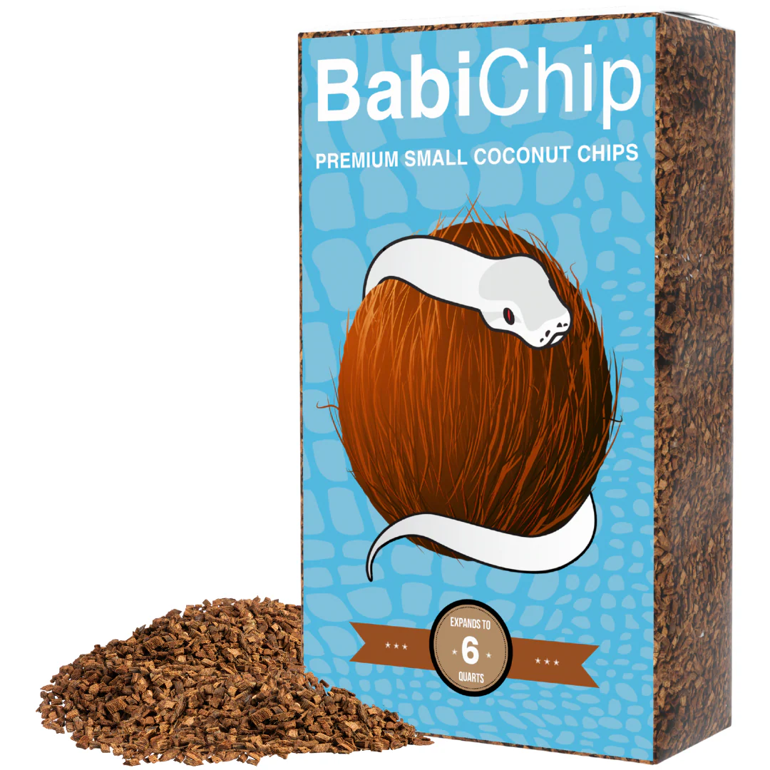 BabiChip Premium Small Sized Coconut Chips; Ready to Use - Image 12