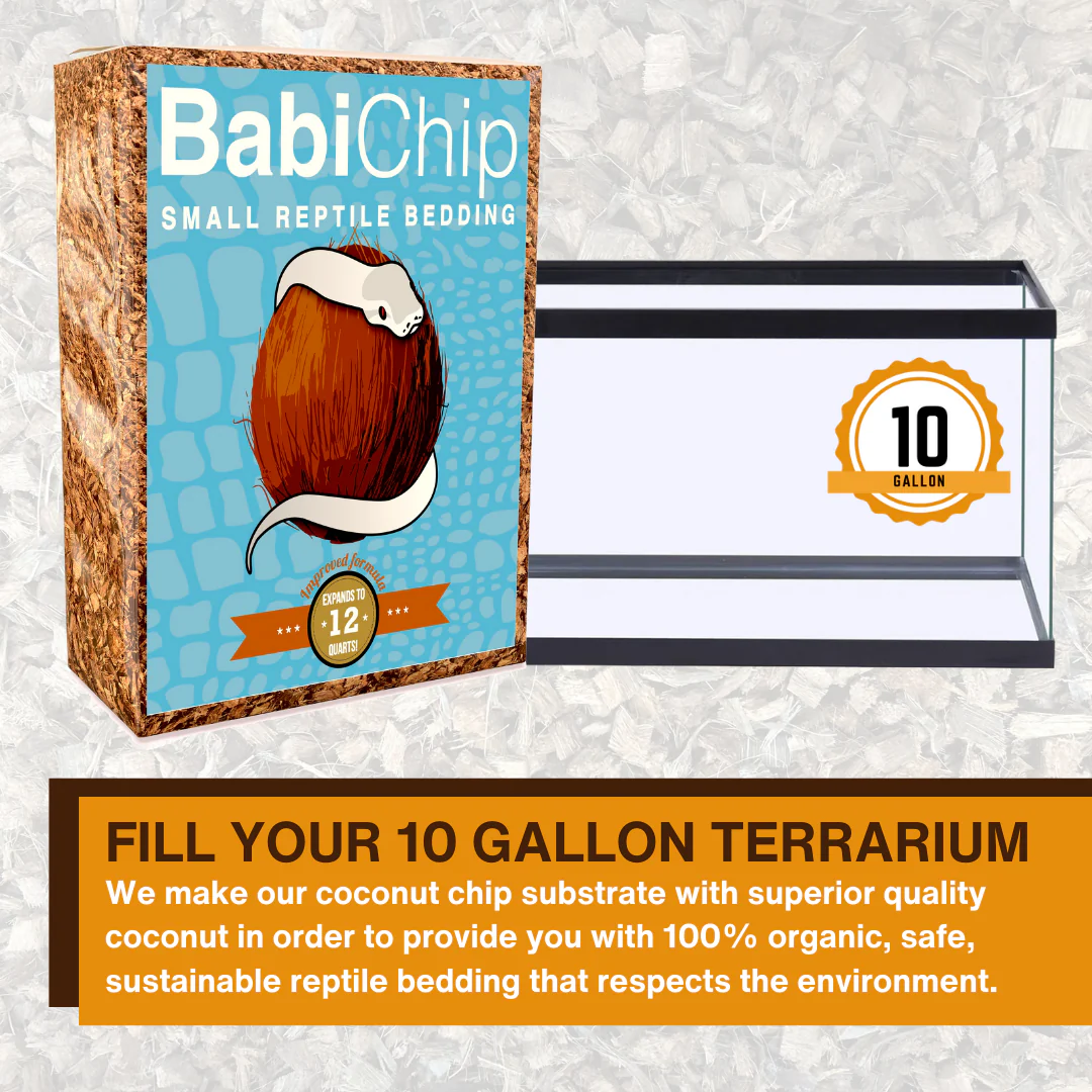 BabiChip Premium Small Sized Coconut Chips; Ready to Use - Image 2