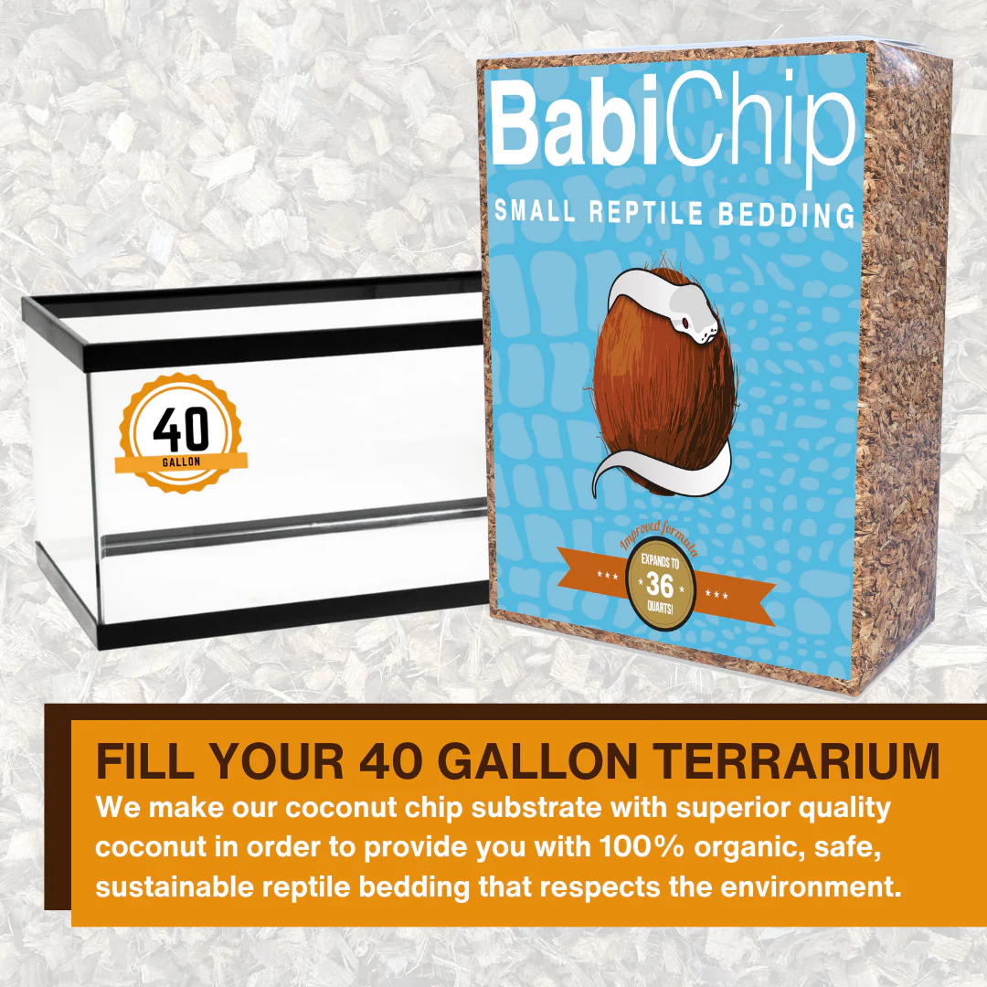 BabiChip Premium Small Sized Coconut Chips; Ready to Use - Image 3