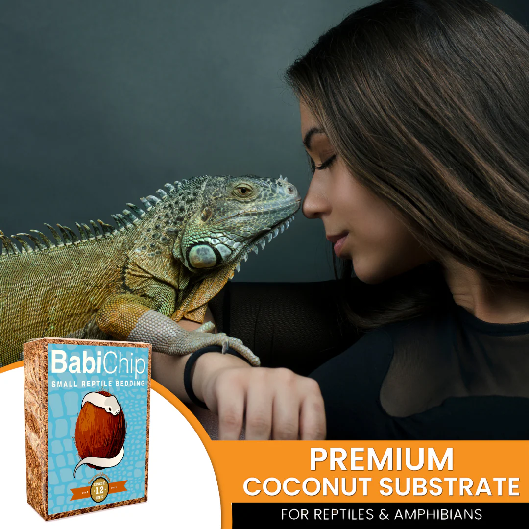 BabiChip Premium Small Sized Coconut Chips; Ready to Use - Image 7
