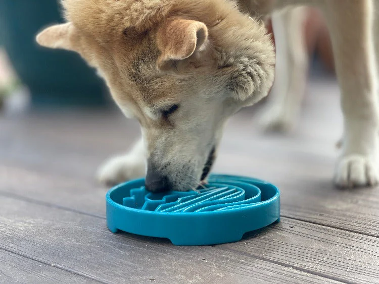Baja Design eTray - Shallow Slow Feeder Dog Bowl for Enrichment | USA Made - Image 2