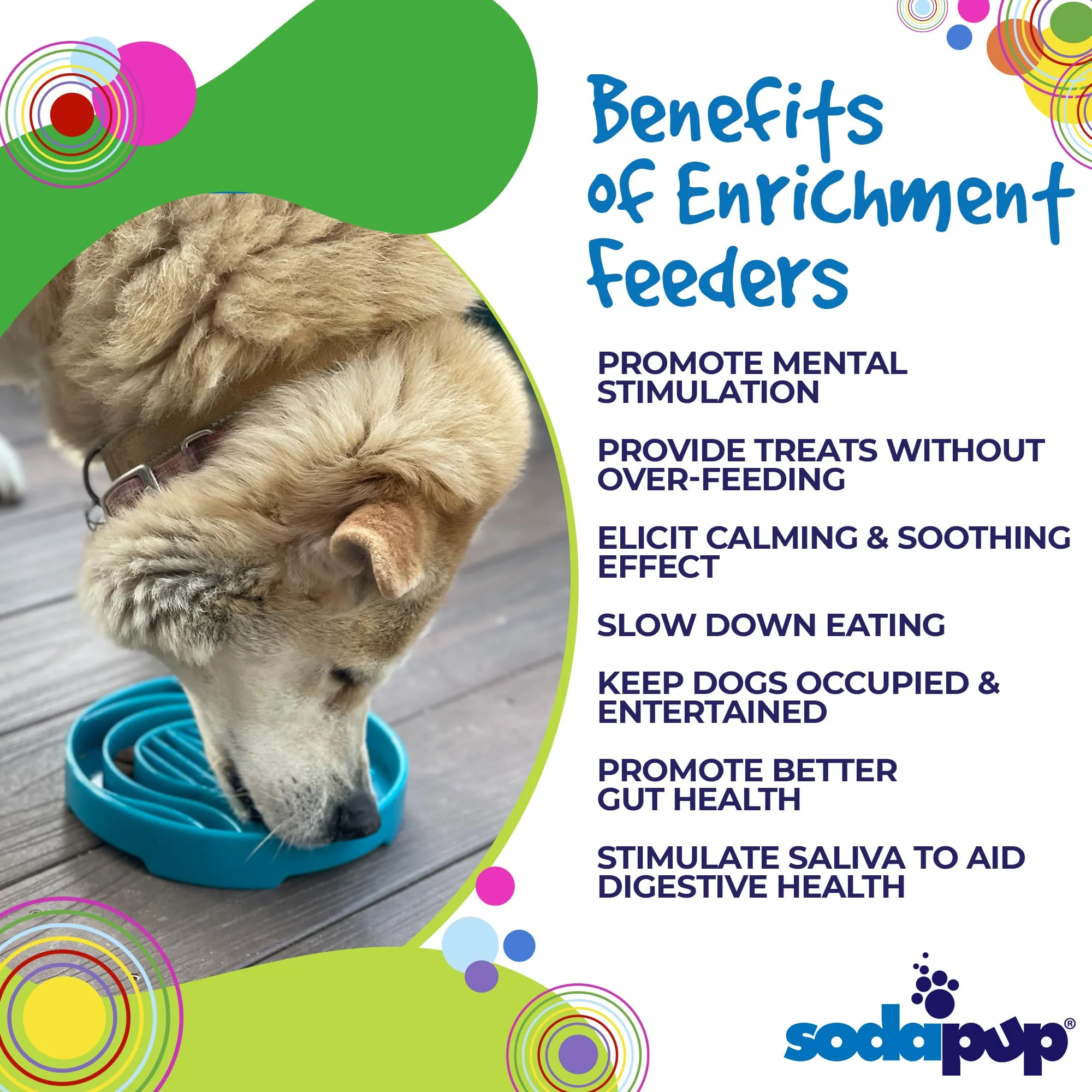 Baja Design eTray - Shallow Slow Feeder Dog Bowl for Enrichment | USA Made - Image 4